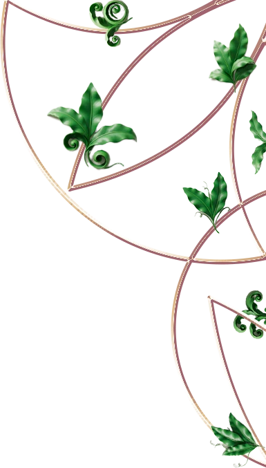 беседа программа