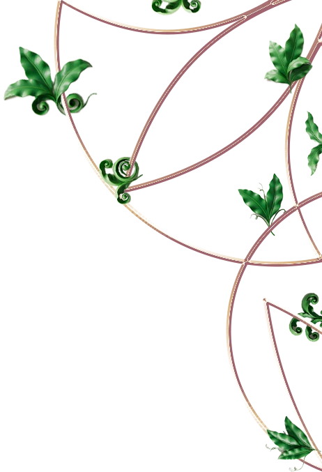 беседа программа